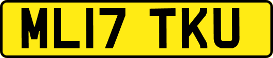 ML17TKU