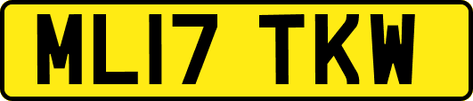 ML17TKW