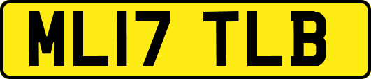 ML17TLB