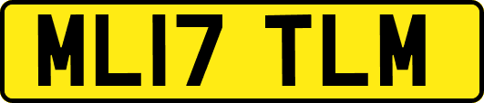 ML17TLM