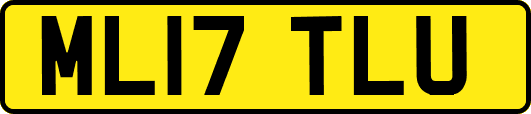ML17TLU