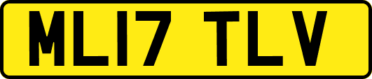 ML17TLV
