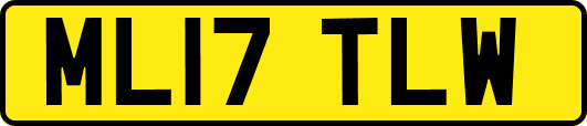 ML17TLW