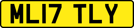 ML17TLY