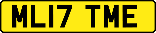 ML17TME