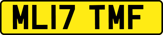 ML17TMF