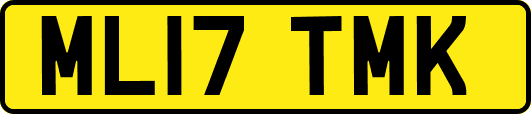 ML17TMK