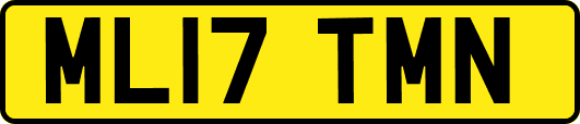ML17TMN