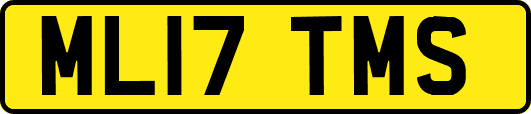 ML17TMS