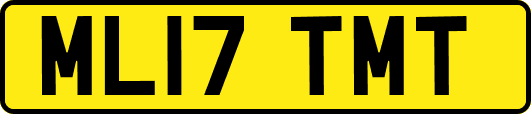 ML17TMT