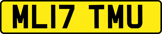 ML17TMU