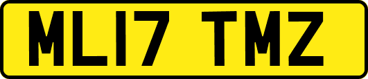 ML17TMZ