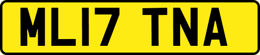 ML17TNA
