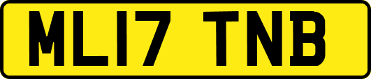 ML17TNB