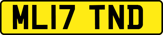ML17TND