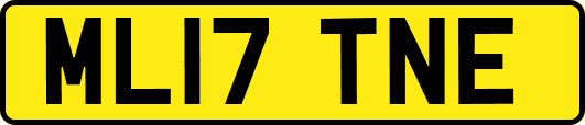 ML17TNE