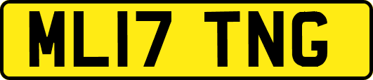 ML17TNG
