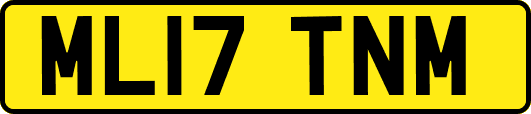 ML17TNM