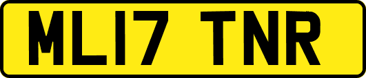 ML17TNR