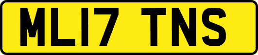 ML17TNS