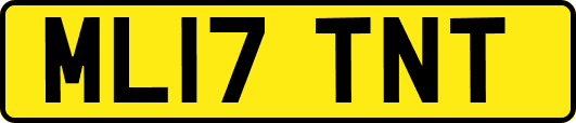 ML17TNT
