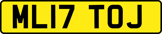ML17TOJ