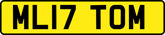 ML17TOM