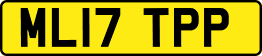 ML17TPP