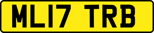 ML17TRB