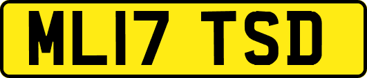 ML17TSD