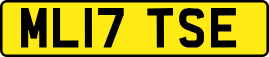 ML17TSE