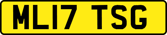 ML17TSG