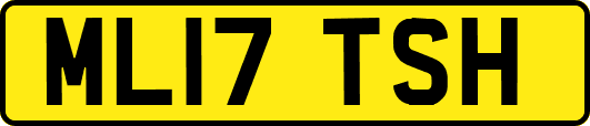 ML17TSH