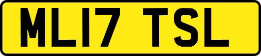 ML17TSL