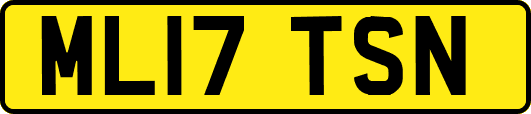ML17TSN