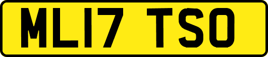 ML17TSO