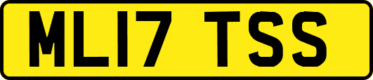 ML17TSS