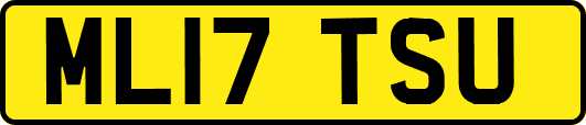 ML17TSU