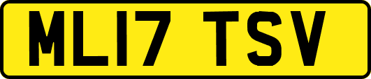 ML17TSV