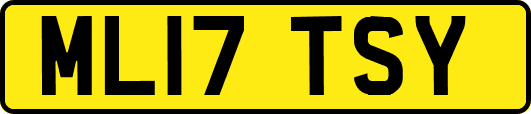 ML17TSY