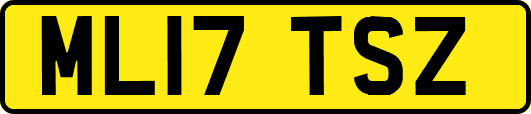 ML17TSZ
