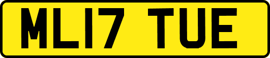 ML17TUE