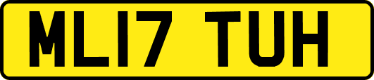 ML17TUH