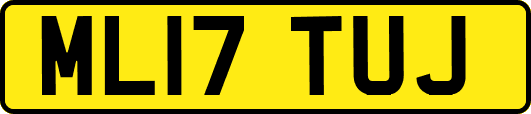 ML17TUJ