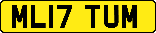 ML17TUM