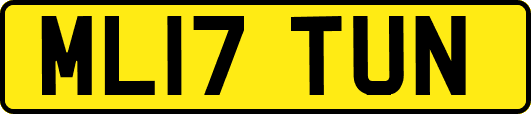 ML17TUN
