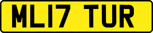 ML17TUR