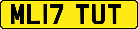 ML17TUT