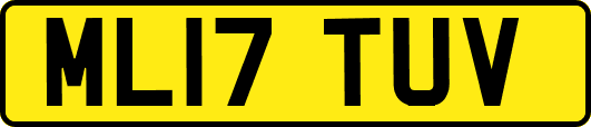 ML17TUV