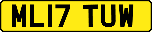 ML17TUW